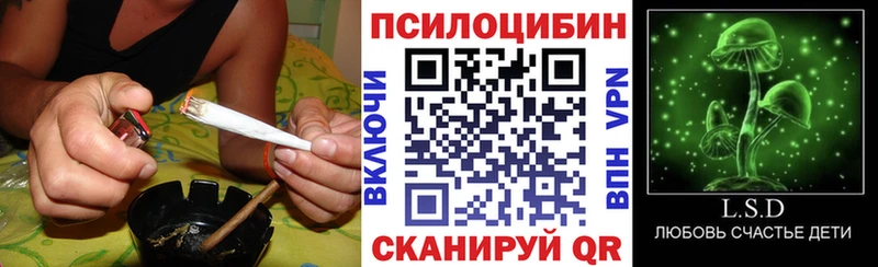 Псилоцибиновые грибы MAGIC MUSHROOMS  Иланский 